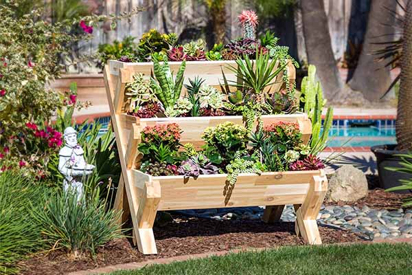 Introduction to Container Gardening