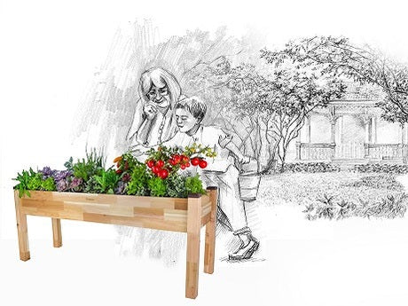 Fertilizers for Container Gardens