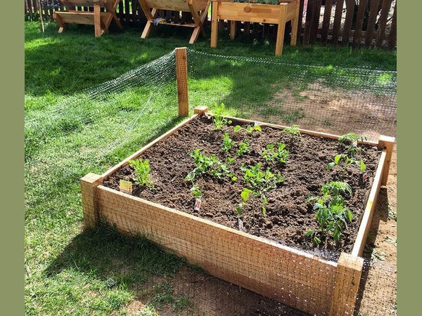 Planting Your Garden