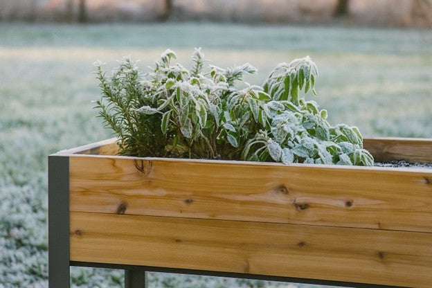 Raised Garden Bed How to Keep Warm
