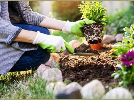 Why Gardening is Good for Your Health  CedarCraft