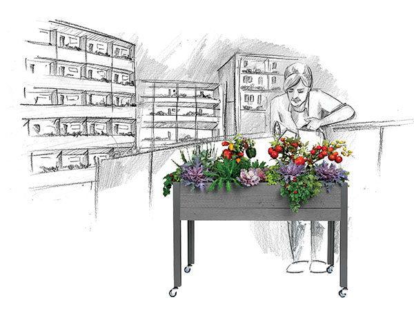 Gardening in Urban or Limited Spaces