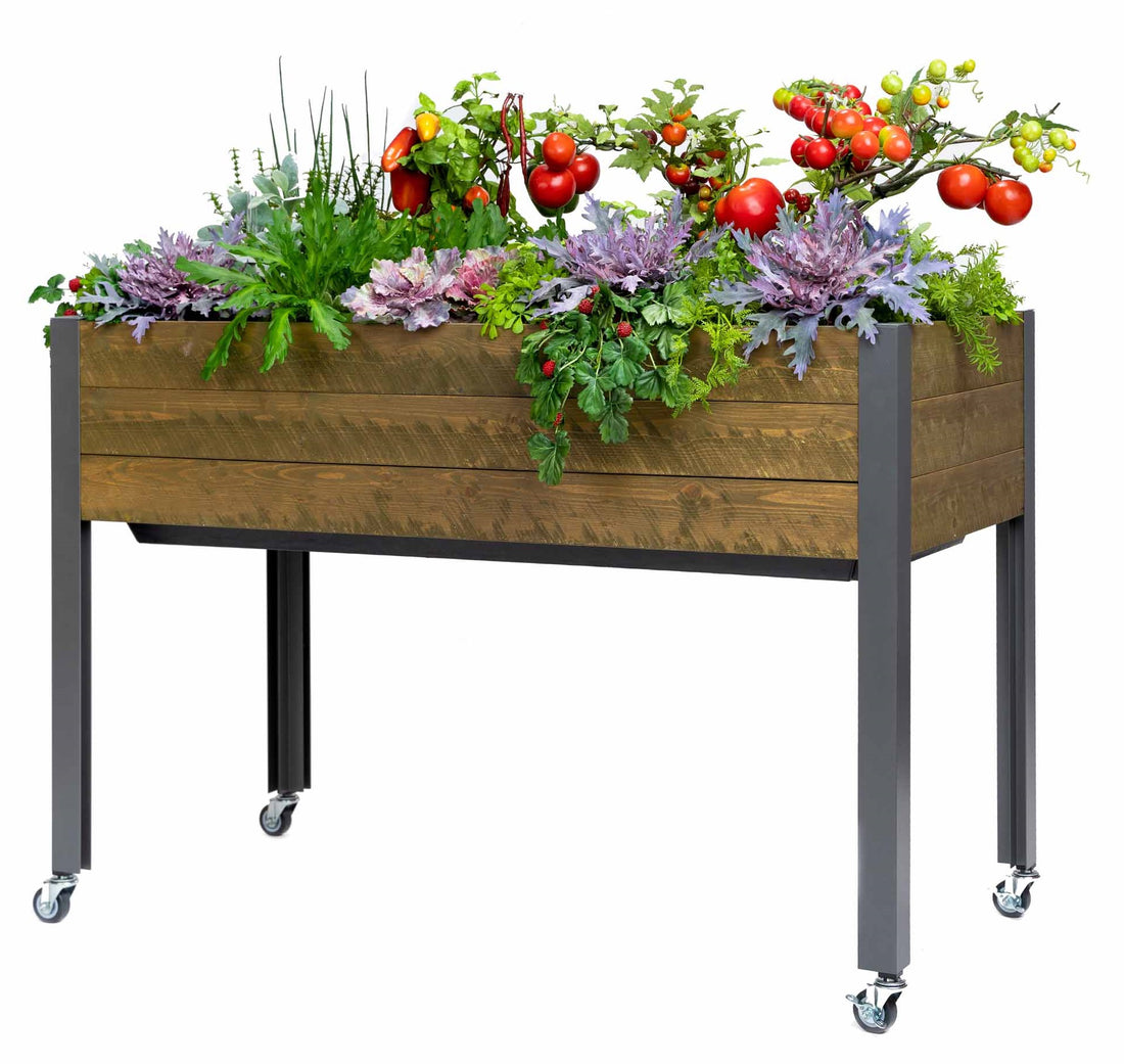 Self-Watering Spruce Planters