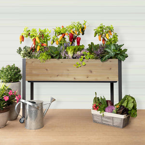 Wooden planter with vegetables and a watering can on a table.