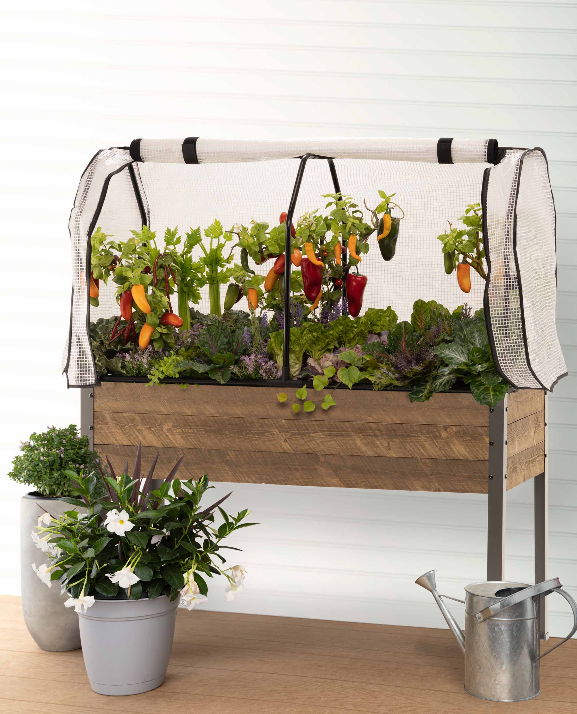 Spruce Planter (21" x 47" x 30"H) + Greenhouse Cover