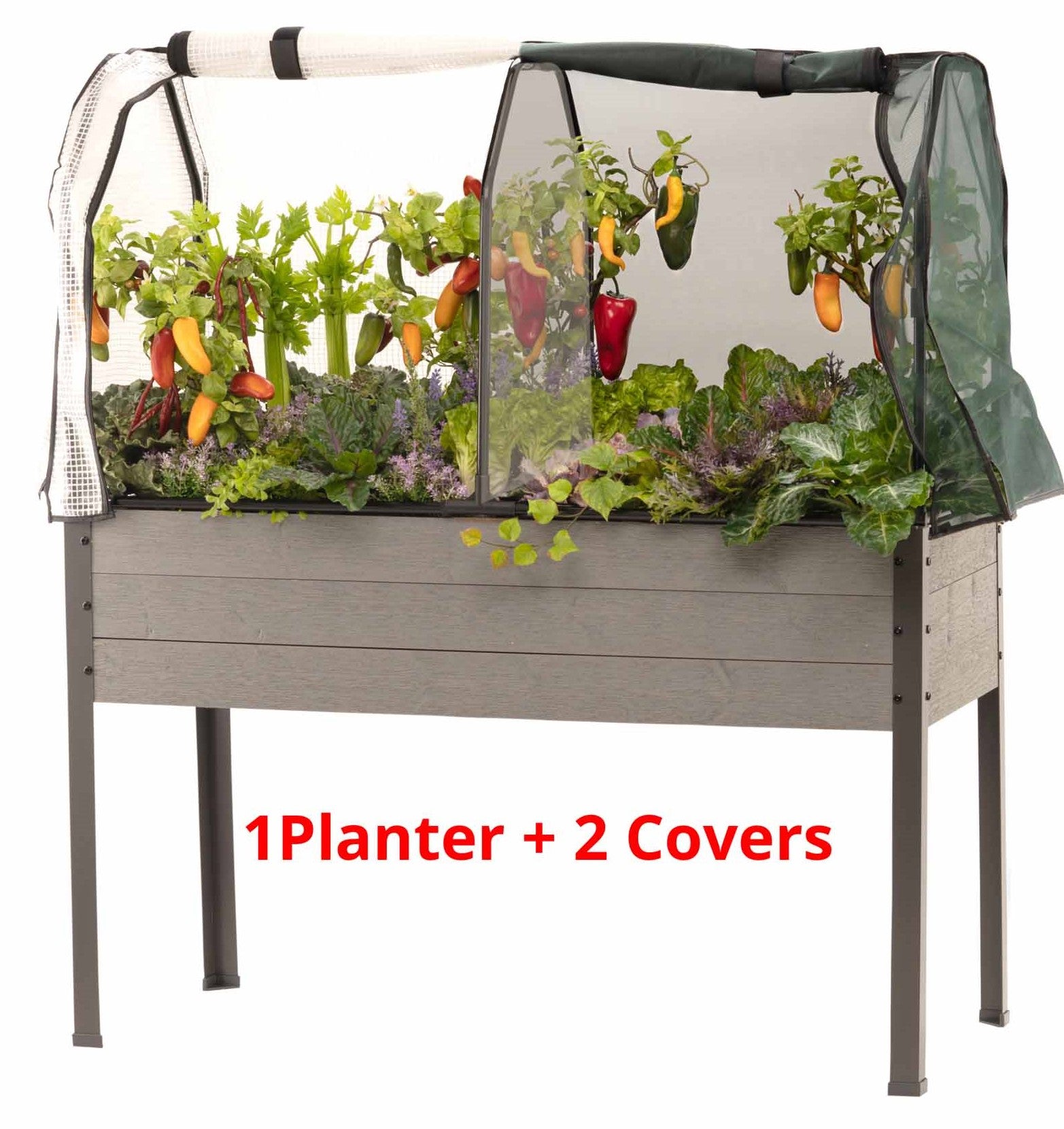 Spruce Planter (21" x 47" x 30"H) + Greenhouse & Bug Cover