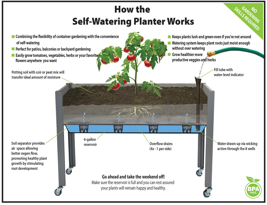 Self-Watering Cedar Planter (21" x 47" x 32"H) + Greenhouse Cover