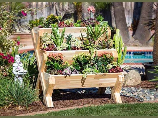 Introduction to Container Gardening