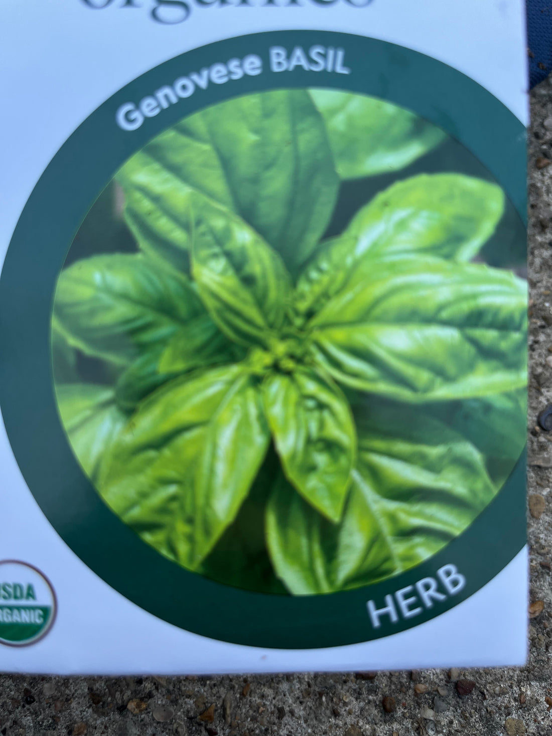 From Seed to Strong: What Starting Indoors Really Teaches You (Blog 4 of 7)