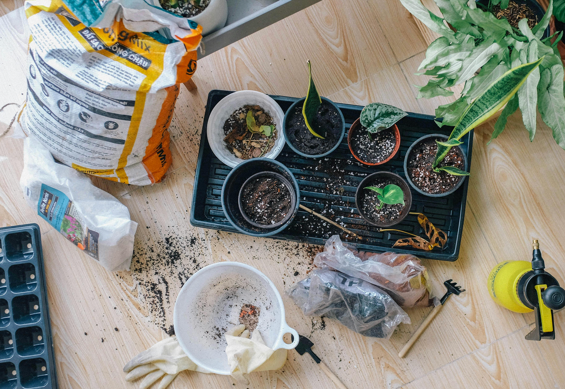 Small Backyard? Simple Ways to Add a Garden