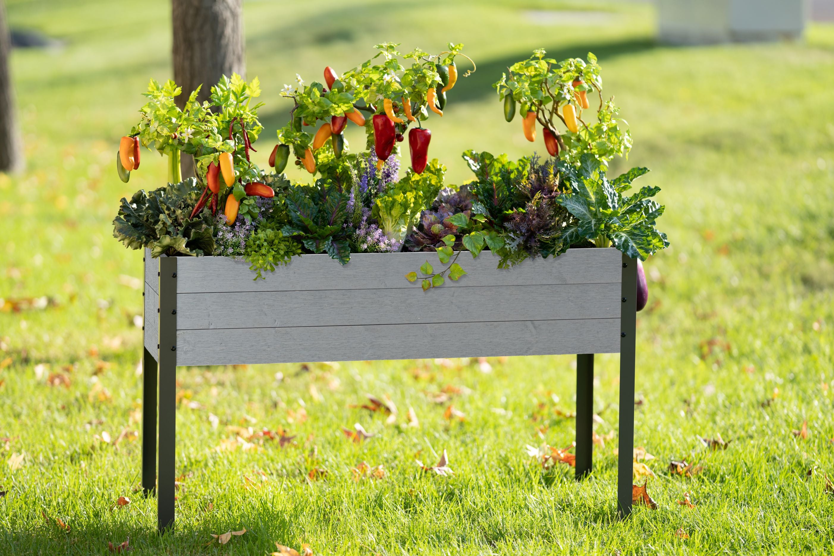 Spruce Planter (21" x 47" x 30"H)