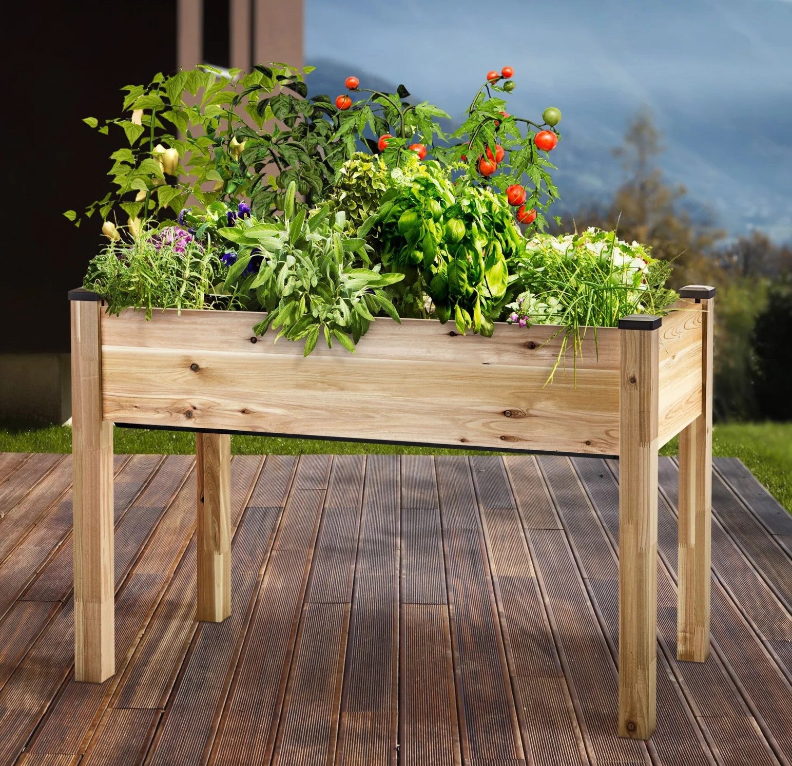 Cedar Elevated Planter