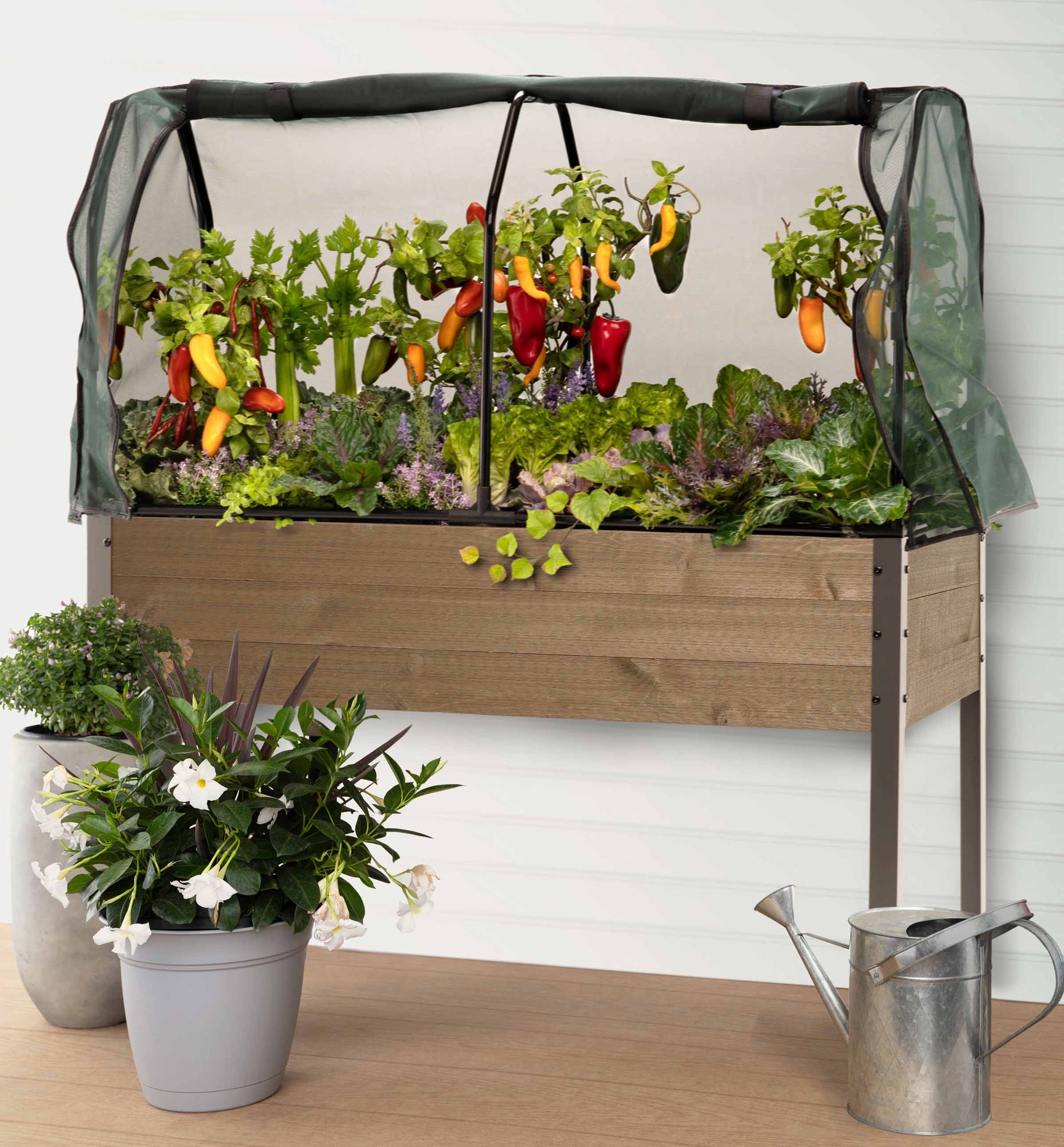 self-watering elevated spruce planter with greenhouse & bug cover CedarCraft Elevated Spruce Planter with Greenhouse Cover, 21 x 47 x 30 Inches