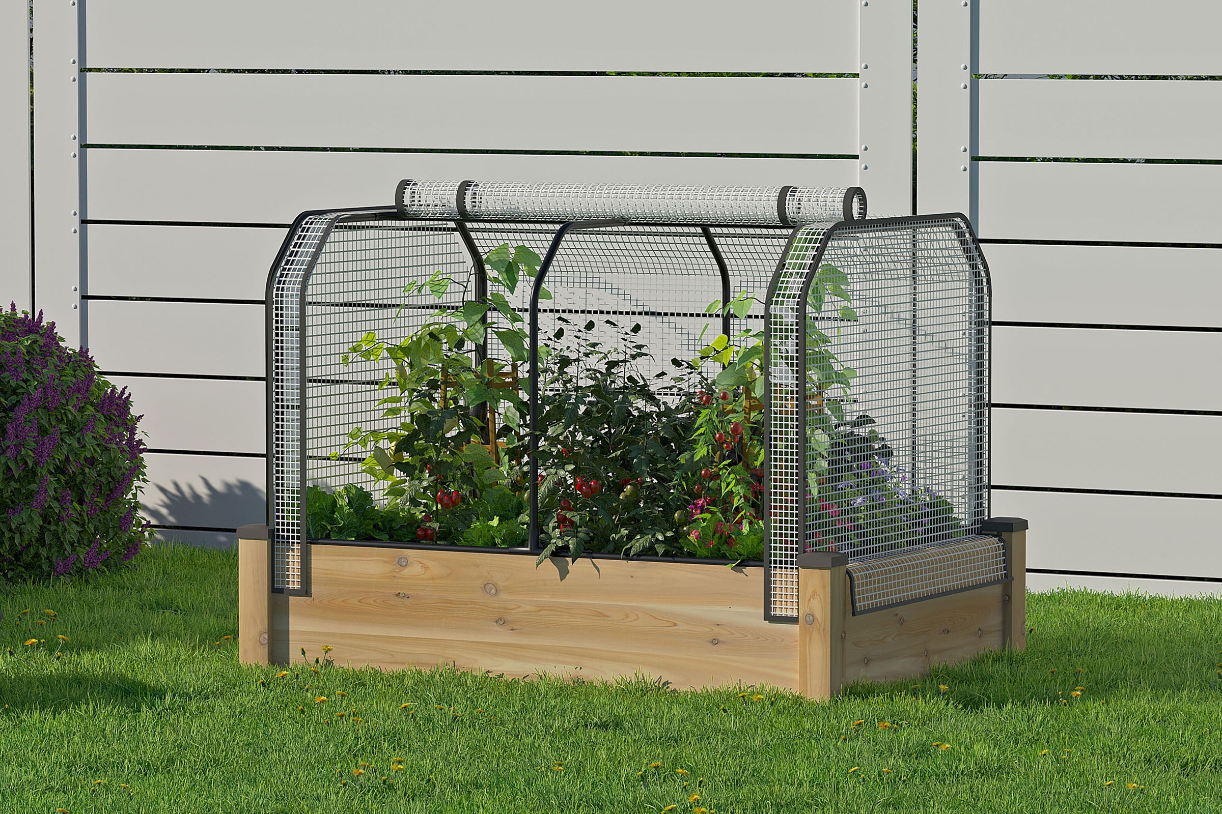 Cedar Raised Garden Bed (33 x 49 x 11"H) + Greenhouse & Bug Cover