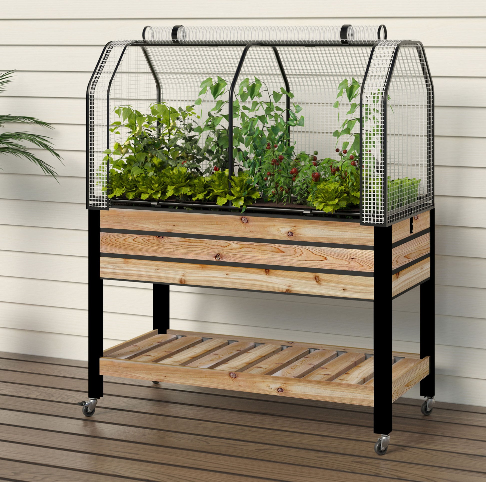 self watering trough planter Self-Watering Cedar Slat Planter with Self (21 x 47 x 32"H) + Greenhouse & Bug Cover