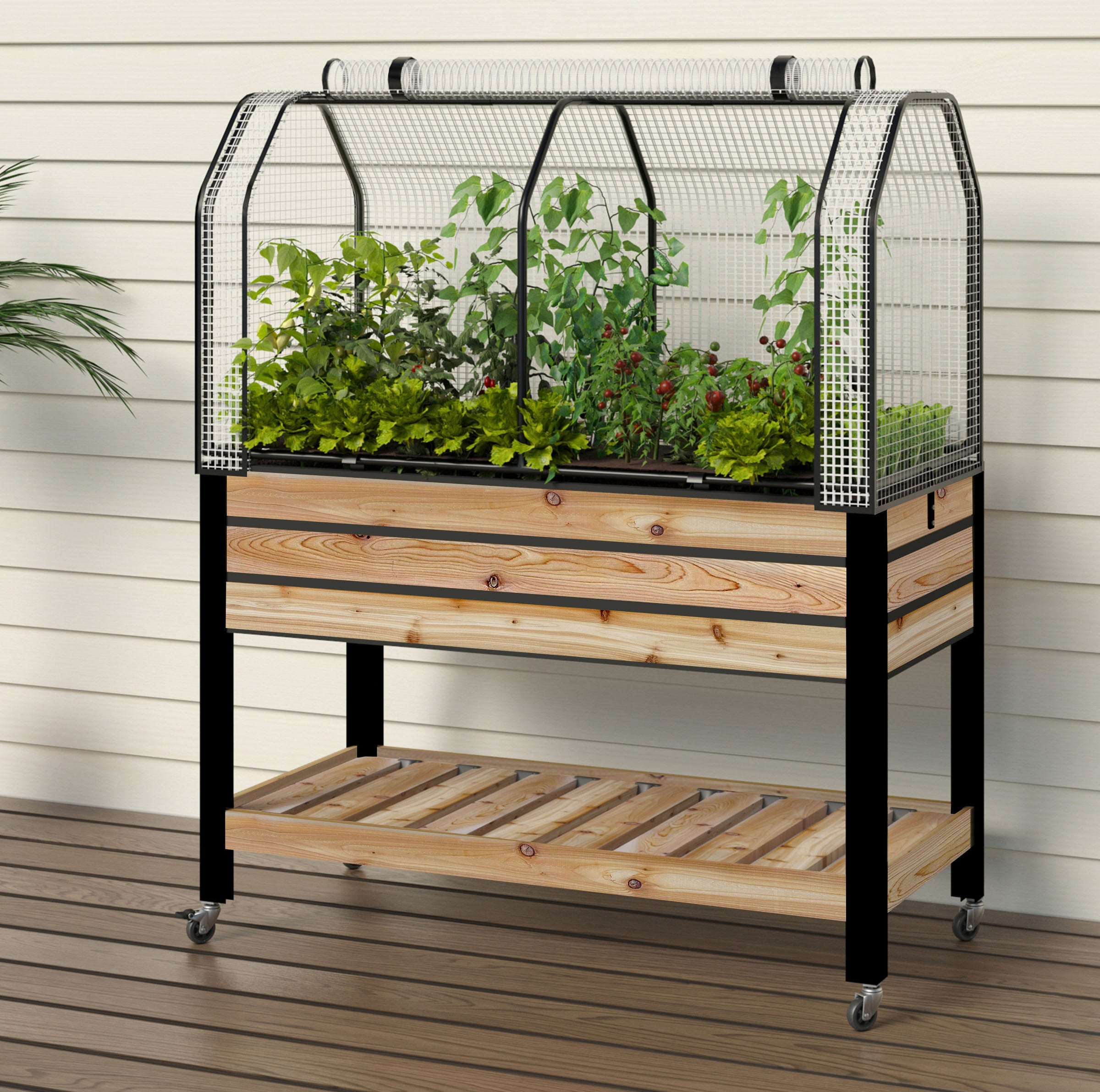 Self-Watering Cedar Planter with Shelf and Greenhouse Cover