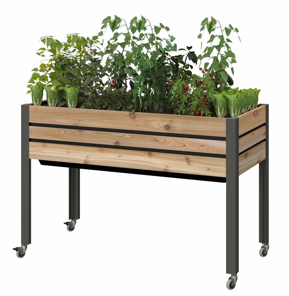 Self-Watering Cedar Slat Planter (21" x 47" x 32"H)