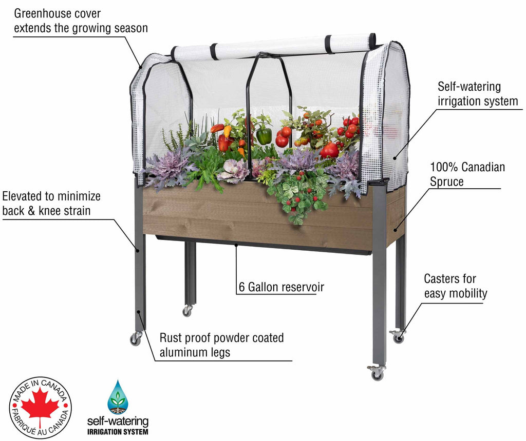 Self-Watering Spruce Planter (21" x 47" x 32"H) + Greenhouse Cover