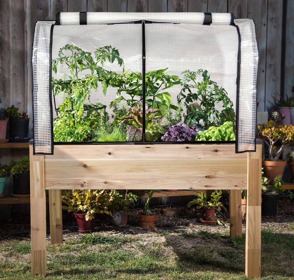 Cedar Planter (33" x 49" x 30"H) + Greenhouse & Bug Cover