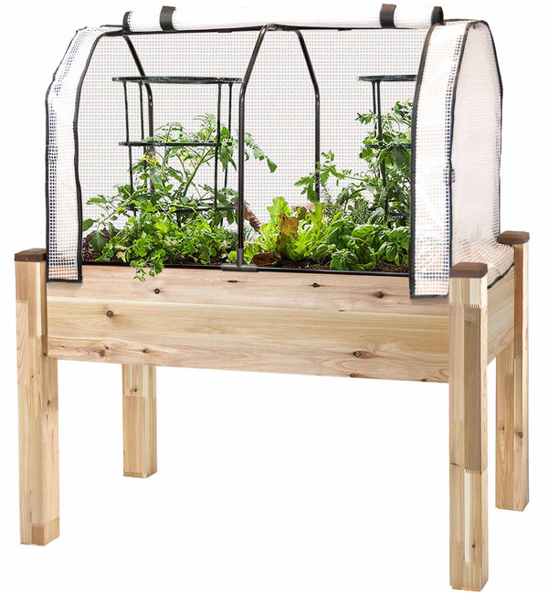 Cedar Planter (33