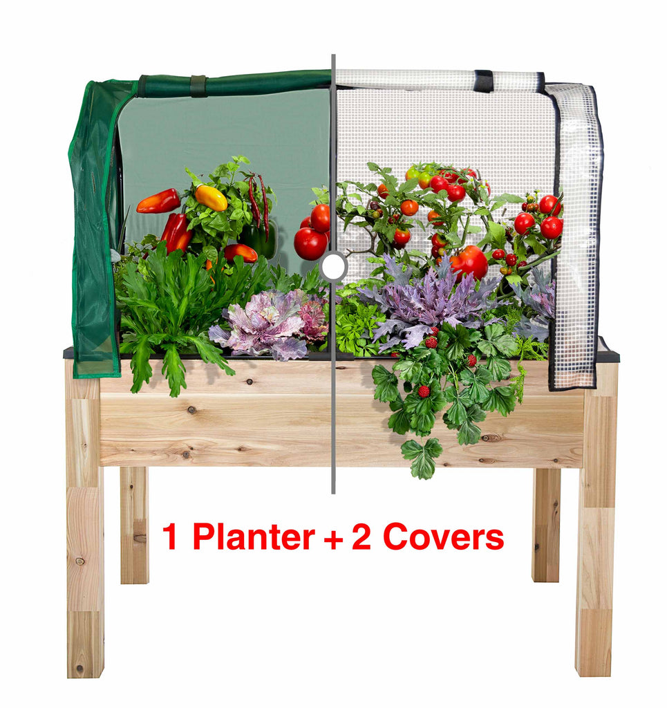 Cedar Planter (33" x 49" x 30"H) + Greenhouse & Bug Cover