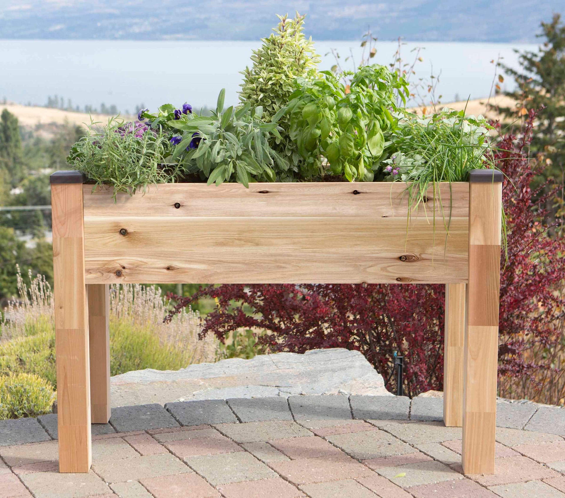 Cedar Planter (33" x 49" x 30"H)  CedarCraft