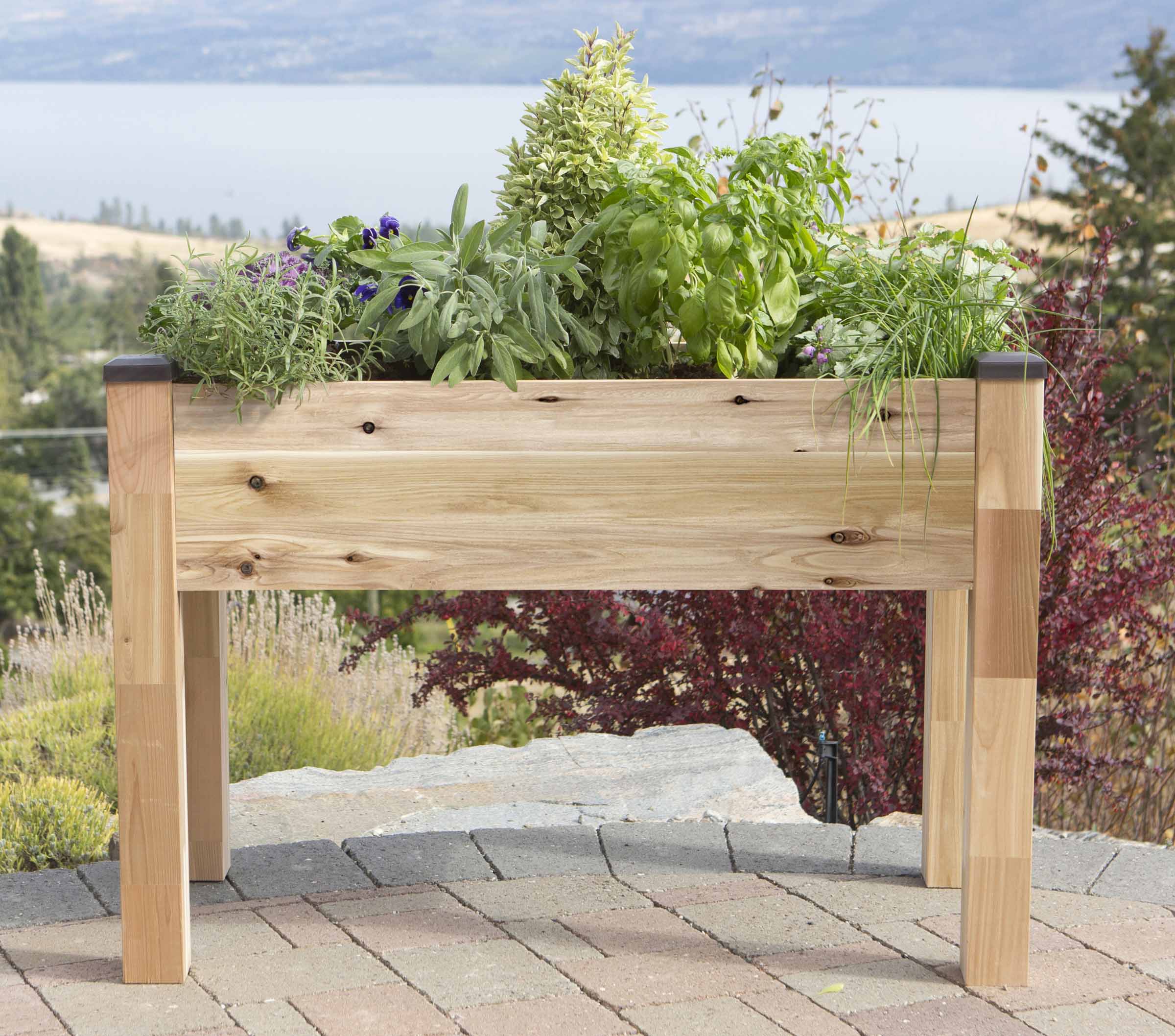 Cedar Planter (33" x 49" x 30"H)