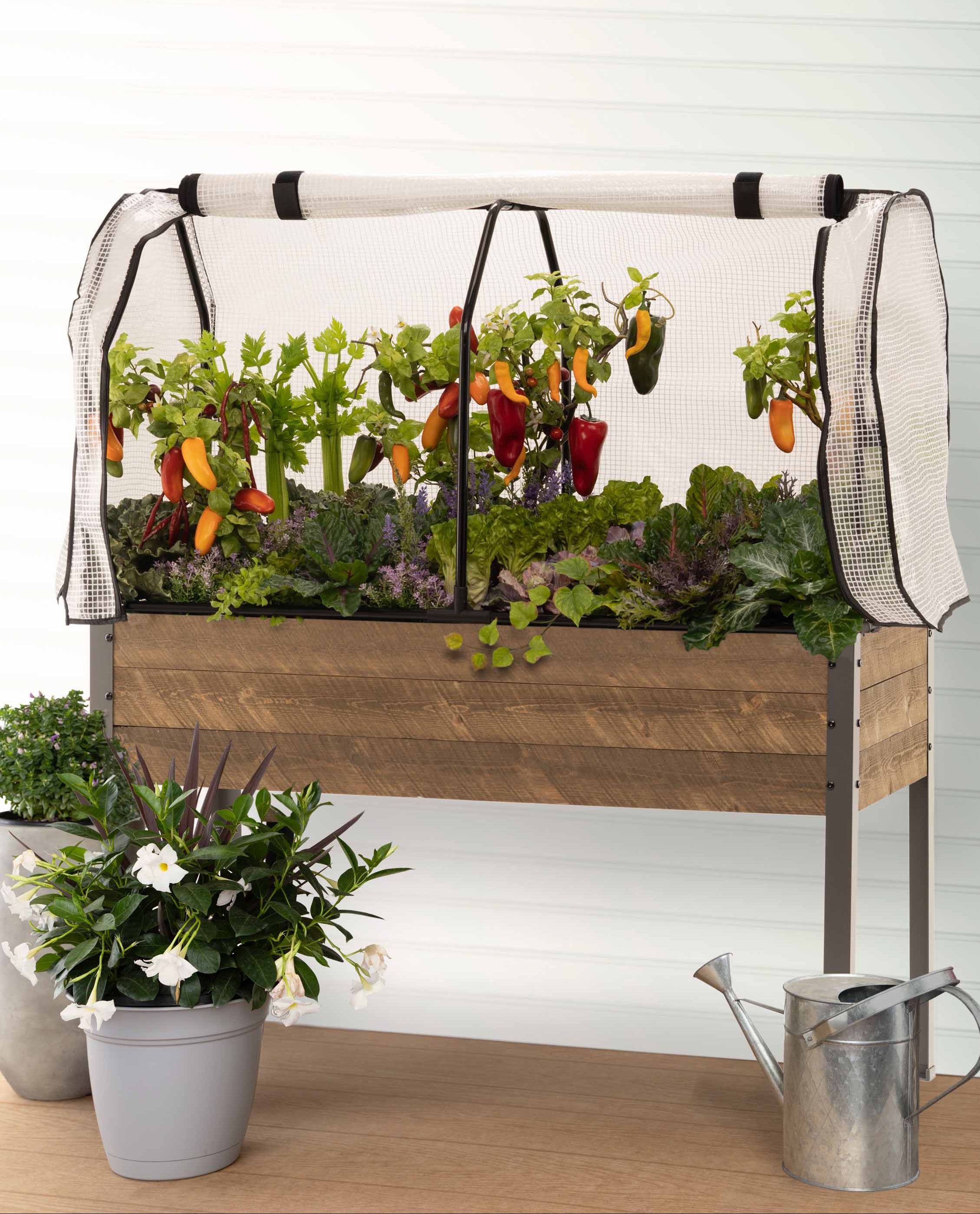 Garden Starter Kit – Brown