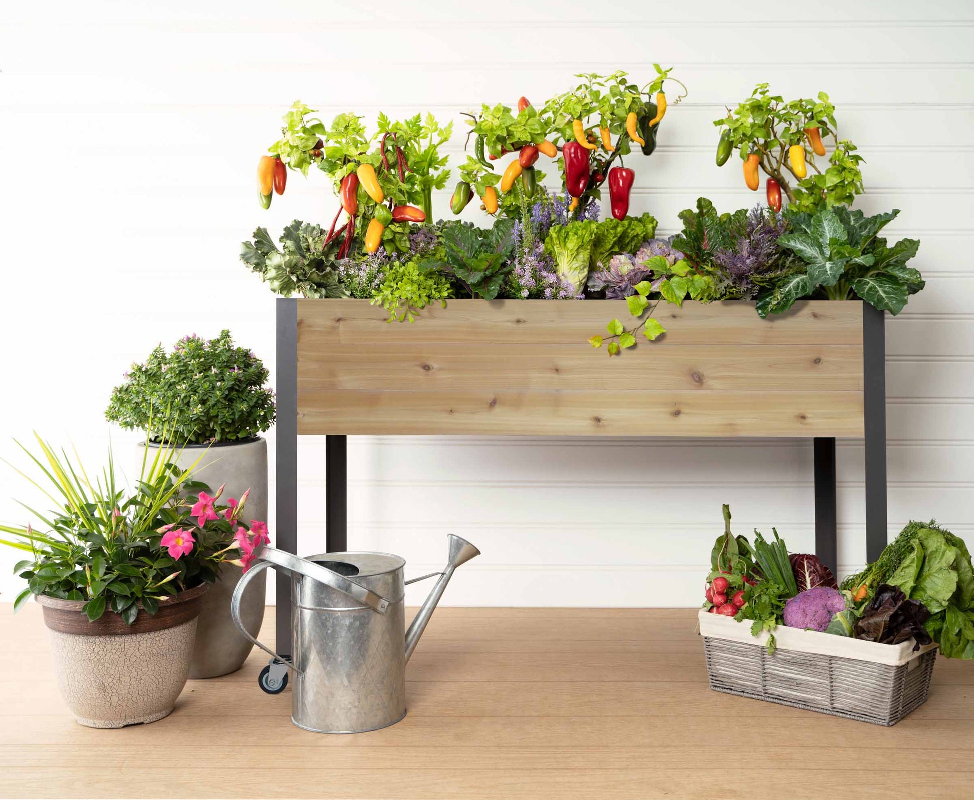 self-watering elevated spruce planter with greenhouse & bug cover Self-Watering Cedar Planter (21 x 47 x 32"H) + Greenhouse & Bug Cover – CedarCraft