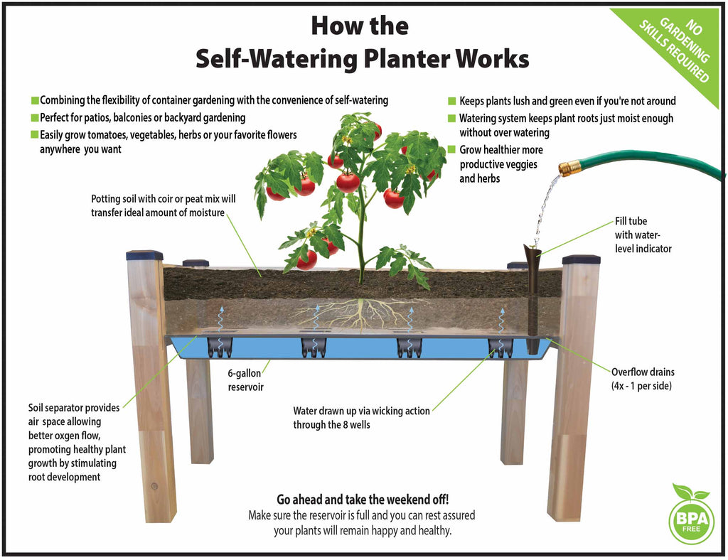 Self-Watering Cedar Planter (23" x 49" x 30"H) + Greenhouse & Bug Cover